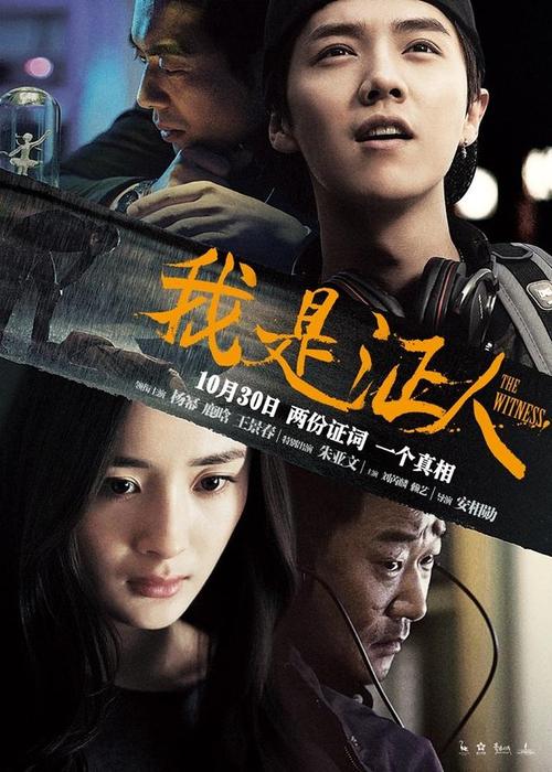 阿维尼翁大学Accounting Diplom